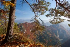 Pieniny