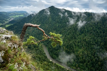 Jak wejść na Sokolicę ze Szczawnicy?